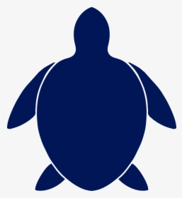 Turtle, HD Png Download, Free Download