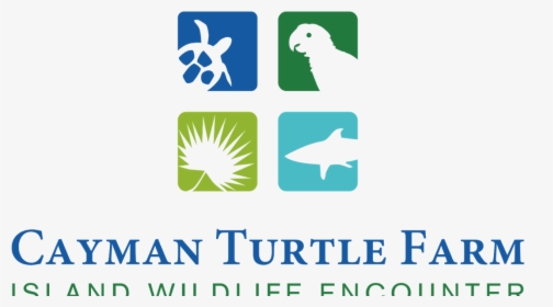 Cayman Turtle Farm Logo Vector - Cayman Turtle Farm, HD Png Download, Free Download