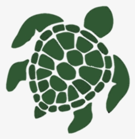 Html5 Icon - Black And White Sea Turtle Drawing, HD Png Download, Free Download