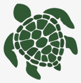 Html5 Icon - Sea Turtle Decal, HD Png Download, Free Download