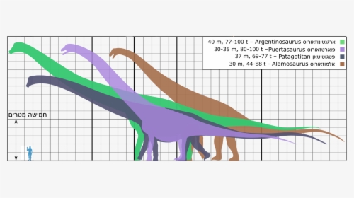 Biggest Titanosaurs Ver18 He - Dinosaur Size Comparison Biggest, HD Png Download, Free Download