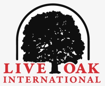 Live Oak International Logo, HD Png Download, Free Download