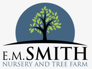 Smith Nursery & Tree Farm Goodhope, Ga Shade Trees - Smayan Healthcare Pvt Ltd, HD Png Download, Free Download