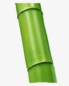 Green Bamboo, HD Png Download, Free Download