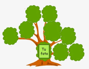 Transparent Arboles Animados Png - Arbol Genealogico Clipart, Png Download, Free Download