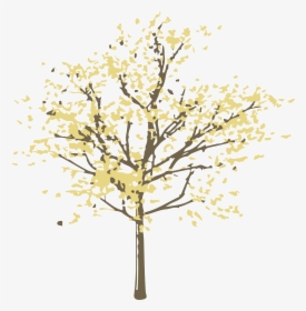 Dibujado A Mano Minimalista Plantas Árboles Hojas Png - Architecture Model Trees Png, Transparent Png, Free Download