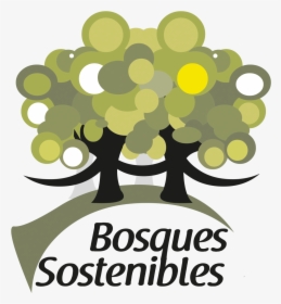 Bosques Sostenibles - Tree, HD Png Download, Free Download