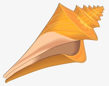 Clip Art Cartoon Conch Shell - Seashell Clipart, HD Png Download, Free Download