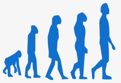 Evolution, Monkey, Man, Transition, Neanderthaler - Evolution And Inheritance Year 6, HD Png Download, Free Download