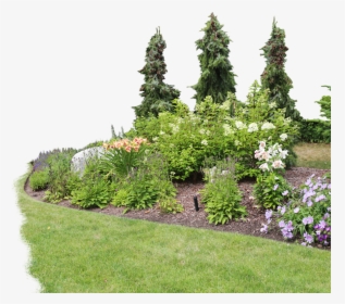 View Examples In Gallery - Flower Garden Garden Png Transparent, Png Download, Free Download