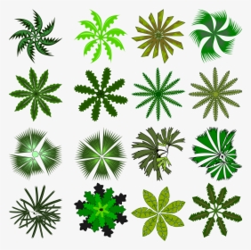 Tree Top Png Awesome - Small Plants Png Top View, Transparent Png, Free Download