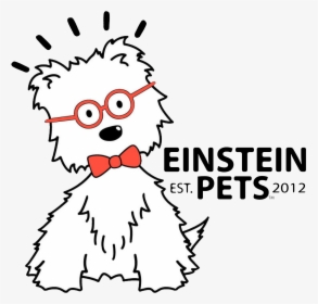 Einstein Pets Sweet Potato Dog Treat - Einstein Pets Logo, HD Png Download, Free Download