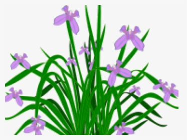 Bush Clipart Flower - Bushes Clip Art Png, Transparent Png, Free Download
