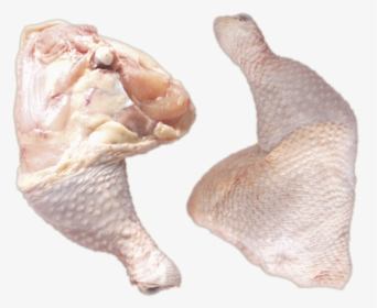Chicken Whole Leg Png, Transparent Png, Free Download