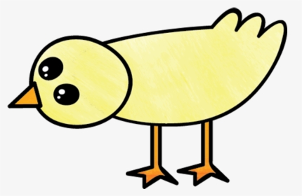 Chicken Drawing Png, Transparent Png, Free Download