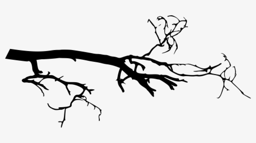 Twig - Tree Branch Png, Transparent Png, Free Download