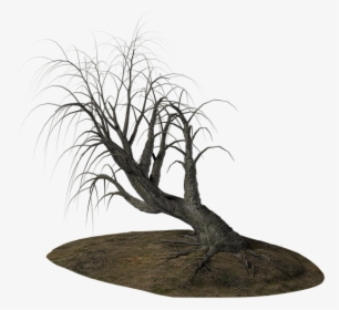 Alberi Morti Png, Transparent Png, Free Download