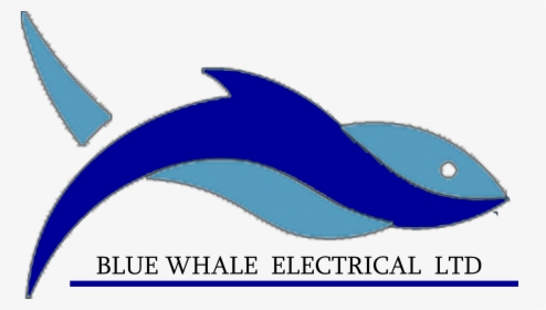 Blue Whale Electrical Ltd, HD Png Download, Free Download