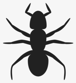 Hormiga, Insectos, Colonia, Hormiguero, Pest, Apuesta - Ant Clip Art, HD Png Download, Free Download