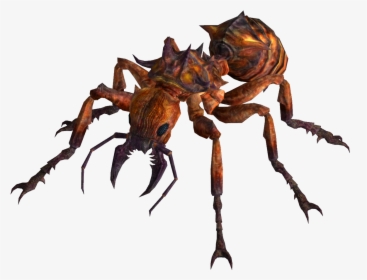 El Refugio - Fallout Fire Ant, HD Png Download, Free Download