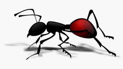 Hormiga, Pismire, Insectos, Emmet - Ant Clipart Png, Transparent Png, Free Download