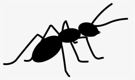 Ant Clipart Png, Transparent Png, Free Download
