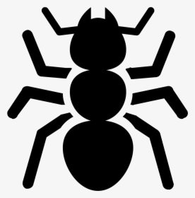 Ant Migration Tool Icon, HD Png Download, Free Download