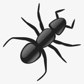 Clip Art Cartoon Ant Picture - Ant Clip Art, HD Png Download, Free Download