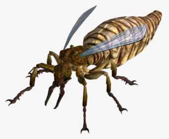 Transparent Ant Queen - Fallout New Vegas Ants, HD Png Download, Free Download