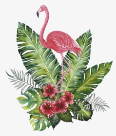 Decoración Tropical - Clip Art Watercolor Flamingo, HD Png Download, Free Download