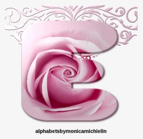 Rose, HD Png Download, Free Download