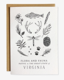 Flora And Fauna Of Virginia, HD Png Download, Free Download