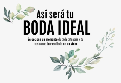 Haz Tu Boda Ideal - Graphics, HD Png Download, Free Download