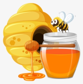 Transparent Bee Vector Png - Honey Clipart, Png Download, Free Download