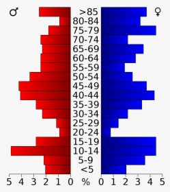 Honolulu Hawaii Population Pyramid, HD Png Download, Free Download