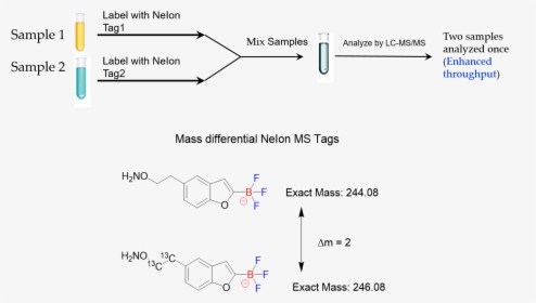 Multiplexing, HD Png Download, Free Download