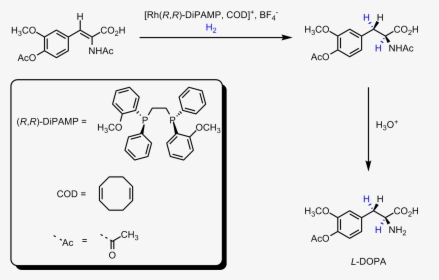 L-dopa Synthesis - Asymmetric Hydrogenation Of L Dopa, HD Png Download, Free Download
