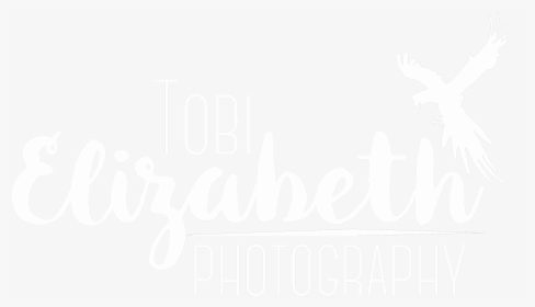 Tobi Elizabeth Photography - Calligraphy, HD Png Download, Free Download