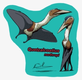 pterodactyl quetzalcoatlus