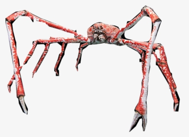 Japanese Spider Crab Clipart, HD Png Download, Free Download