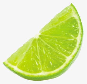Png Green Lemon Slice, Transparent Png, Free Download
