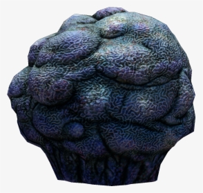 Subnautica Wiki - Subnautica Unnamed Coral Species, HD Png Download, Free Download