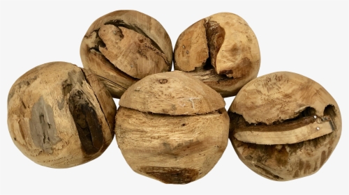 White Walnut, HD Png Download, Free Download