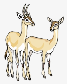 Free Gazelle Clipart Baby Llama Clip Art Baby Llama - Clip Art Gazelle, HD Png Download, Free Download