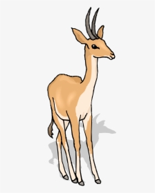 Free Gazelle Clipart - Livestock, HD Png Download, Free Download