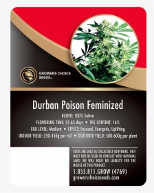 Durban Poison Feminized Cannabis Seeds - Skunk Kush, HD Png Download, Free Download