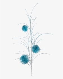 Branch With Bobble, Turquoise - Sketch, HD Png Download, Free Download