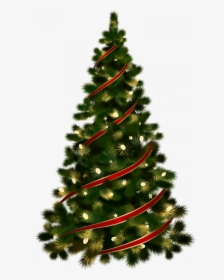 Transparent Christmas Tree Clipart, HD Png Download, Free Download