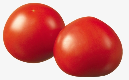 Red Tomatoes Png Image - Bush Tomato, Transparent Png, Free Download