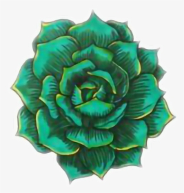Rose Greenrose Tumblr Green Beautiful - Succulents Drawing, HD Png Download, Free Download